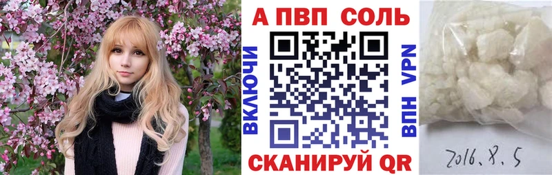 Alfa_PVP СК  Тотьма 