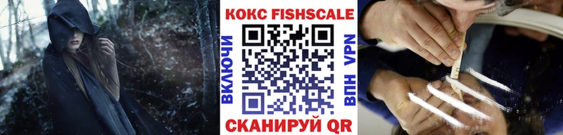 купить закладку Тотьма Cocaine Эквадор