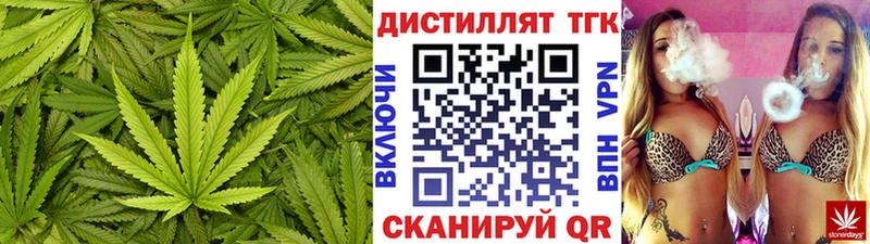 дарнет шоп  Тотьма  ТГК гашишное масло 