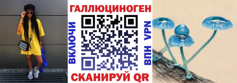 сколько стоит  Тотьма  Псилоцибиновые грибы Magic Shrooms 